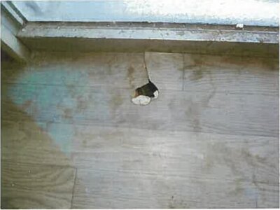 和歌山県和歌山市 田中口駅5分 マンション「マンションあさも」199万円の競売物件情報 #10