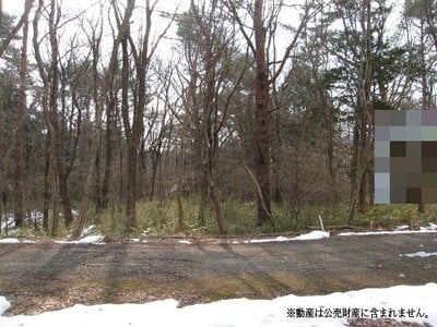 (値下げ) 栃木県那須郡那須町 土地 65万円の国税庁公売物件情報 #1