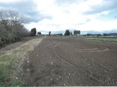 (値下げ) 岩手県花巻市 石鳥谷駅 農地 16万円の競売物件情報 #2