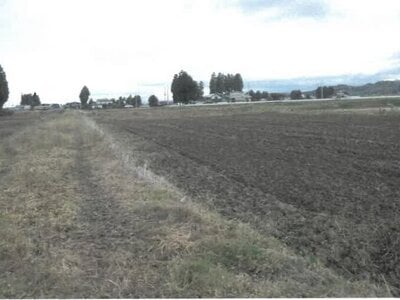 (値下げ) 岩手県花巻市 石鳥谷駅 農地 16万円の競売物件情報 #3