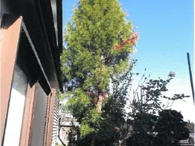 神奈川県横浜市緑区 田奈駅9分 戸建て 2,808万円の競売物件情報 #9