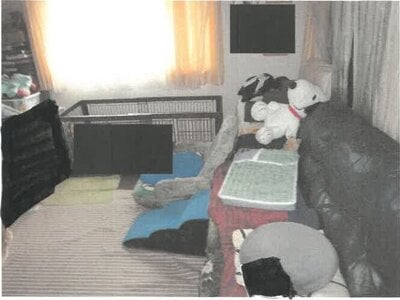 神奈川県横浜市神奈川区 東白楽駅6分 戸建て 1,844万円の競売物件情報 #6