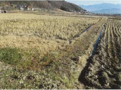 長野県上田市 別所温泉駅7分 農地 54万円の競売物件情報 #3