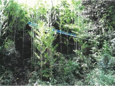 愛知県知多市 古見駅5分 戸建て 487万円の競売物件情報 #1