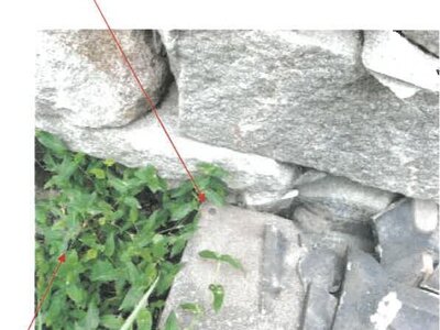 香川県丸亀市 宇多津駅12分 農地 259万円の競売物件情報 #4