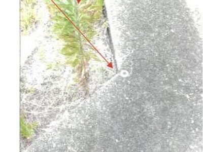 香川県丸亀市 宇多津駅12分 農地 259万円の競売物件情報 #6