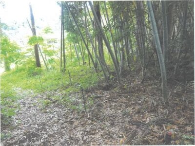 茨城県久慈郡大子町 常陸大子駅19分 戸建て 207万円の競売物件情報 #6