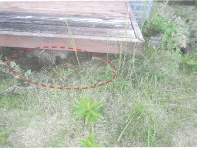 茨城県日立市 日立駅21分 戸建て 2,961万円の競売物件情報 #8