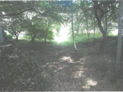 茨城県日立市 小木津駅27分 農地 65万円の競売物件情報 #3