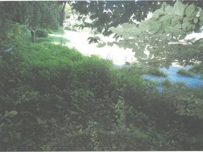 茨城県日立市 小木津駅27分 農地 65万円の競売物件情報 #5