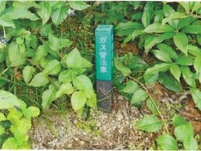 (値下げ) 愛媛県今治市 伊予富田駅17分 戸建て 158万円の競売物件情報 #15