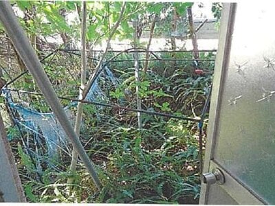 (値下げ) 愛媛県越智郡上島町 戸建て 75万円の競売物件情報 #15