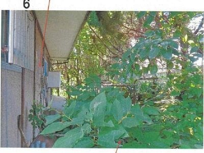 (値下げ) 愛媛県越智郡上島町 戸建て 75万円の競売物件情報 #8