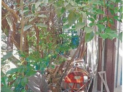 (値下げ) 愛媛県越智郡上島町 戸建て 75万円の競売物件情報 #9