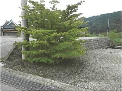 滋賀県長浜市 河毛駅 土地 100万円の競売物件情報 #10