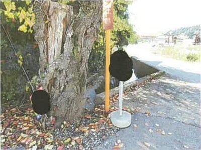 滋賀県長浜市 近江長岡駅 戸建て 92万円の競売物件情報 #6