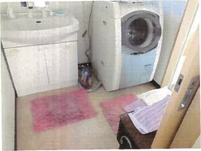 和歌山県岩出市 下井阪駅16分 戸建て 483万円の競売物件情報 #8