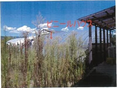 和歌山県紀の川市 粉河駅18分 戸建て 1,586万円の競売物件情報 #12