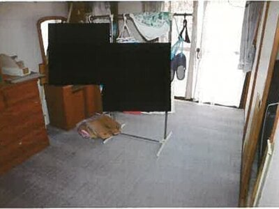 和歌山県岩出市 下井阪駅8分 マンション「エスペランス尾崎」278万円の競売物件情報 #8