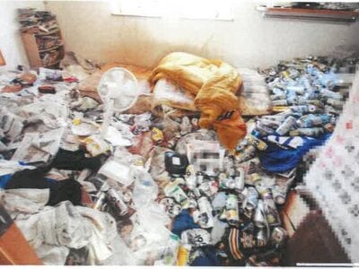 岡山県和気郡和気町 和気駅13分 戸建て 209万円の競売物件情報 #9