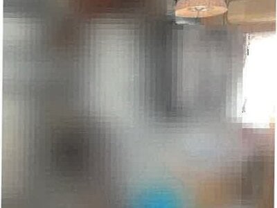 高知県吾川郡いの町 伊野商業前駅6分 戸建て 383万円の競売物件情報 #11