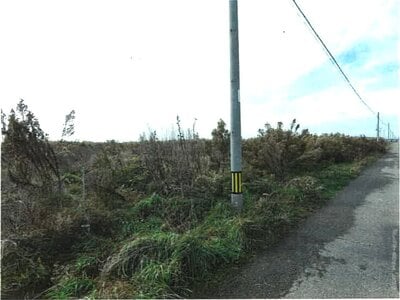 新潟県新潟市南区 さつき野駅 農地 44万円の競売物件情報 #1