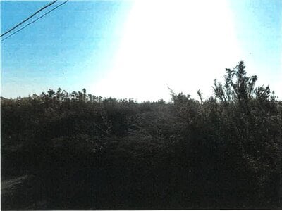 新潟県新潟市南区 さつき野駅 農地 44万円の競売物件情報 #2