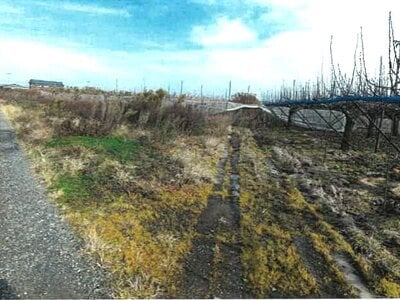 新潟県新潟市南区 さつき野駅 農地 5万円の競売物件情報 #1