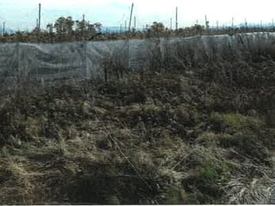 新潟県新潟市南区 さつき野駅 農地 5万円の競売物件情報 #2