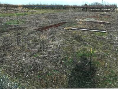 新潟県新潟市南区 さつき野駅 農地 8万円の競売物件情報 #1