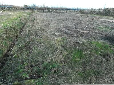 新潟県新潟市南区 さつき野駅 農地 8万円の競売物件情報 #2