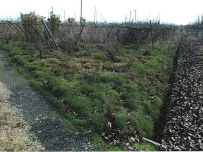 新潟県新潟市南区 さつき野駅 農地 16万円の競売物件情報 #1