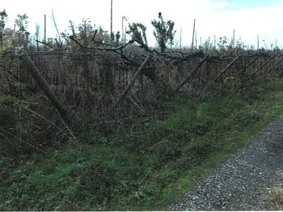 新潟県新潟市南区 さつき野駅 農地 16万円の競売物件情報 #2