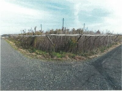 新潟県新潟市南区 さつき野駅 農地 4万円の競売物件情報 #1