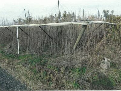 新潟県新潟市南区 さつき野駅 農地 4万円の競売物件情報 #2