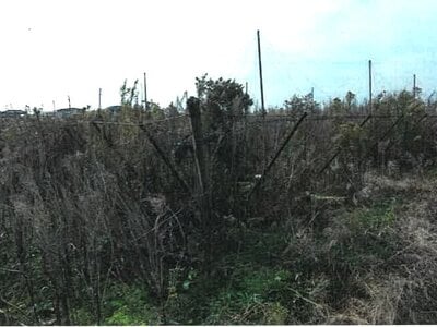 新潟県新潟市南区 さつき野駅 農地 13万円の競売物件情報 #1