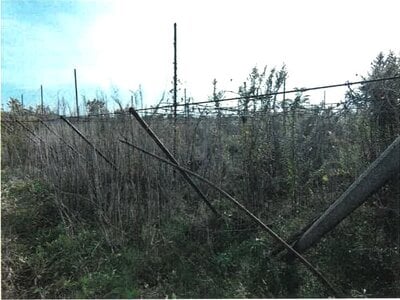 新潟県新潟市南区 さつき野駅 農地 13万円の競売物件情報 #2