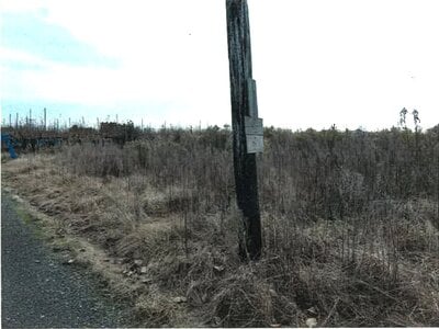 新潟県新潟市南区 さつき野駅 農地 10万円の競売物件情報 #2