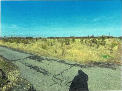 新潟県新潟市南区 さつき野駅 農地 97万円の競売物件情報 #1