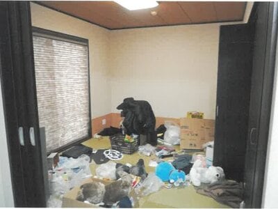 新潟県上越市 黒井駅18分 戸建て 1,002万円の競売物件情報 #4