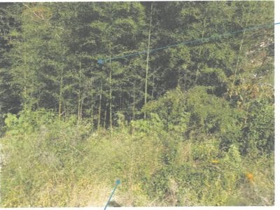 福井県越前市 武生駅15分 戸建て 134万円の競売物件情報 #18