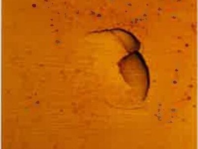 千葉県千葉市美浜区 稲毛海岸駅18分 マンション「Brillia稲毛海浜公園」1,625万円の競売物件情報 #7