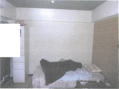 千葉県松戸市 八柱駅13分 戸建て 1億1,280万円の競売物件情報 #107