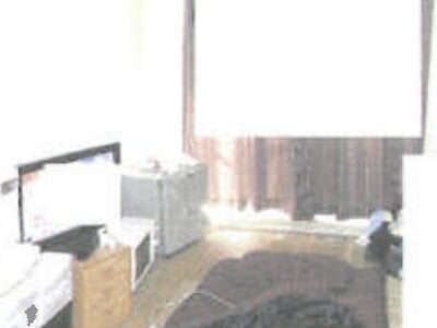 千葉県松戸市 八柱駅13分 戸建て 1億1,280万円の競売物件情報 #54