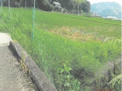 徳島県阿南市 新野駅20分 農地 117万円の競売物件情報 #1