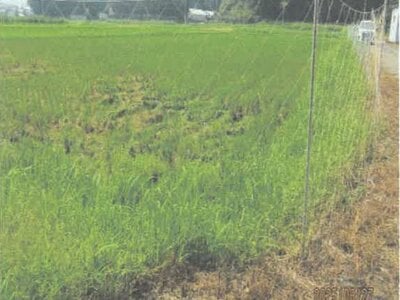 徳島県阿南市 新野駅20分 農地 117万円の競売物件情報 #2