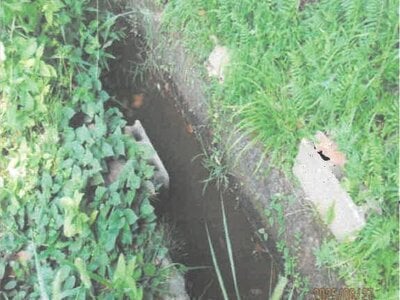 徳島県阿南市 新野駅20分 農地 117万円の競売物件情報 #5