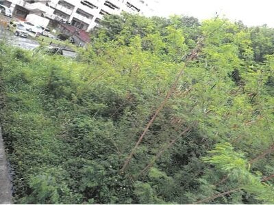 沖縄県豊見城市 奥武山公園駅 土地 3,900万円の競売物件情報 #1