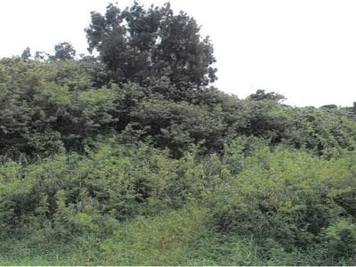 沖縄県豊見城市 奥武山公園駅 土地 3,900万円の競売物件情報 #2