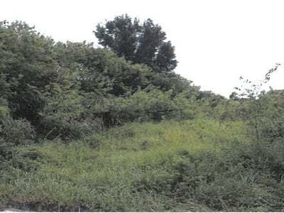 沖縄県豊見城市 奥武山公園駅 土地 3,900万円の競売物件情報 #3